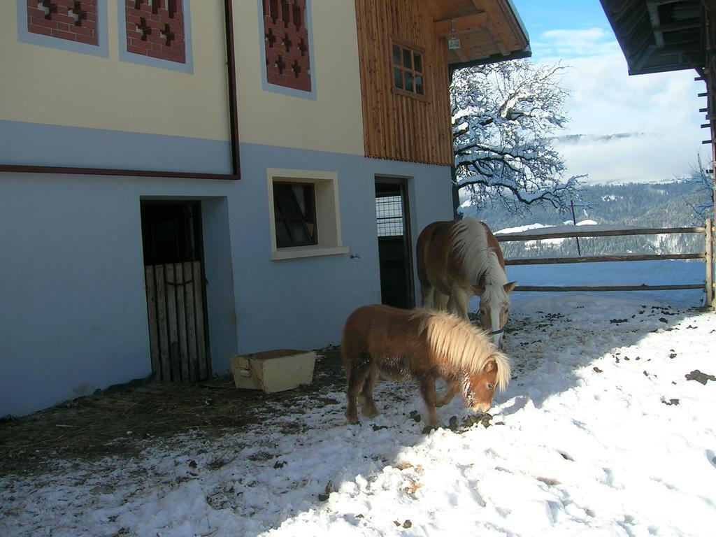 Kollerhof Apartment Schlanitzen Exterior photo